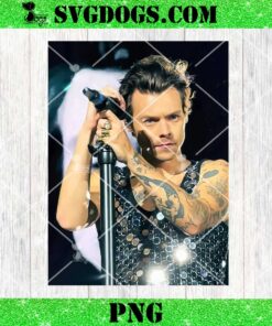 Harry Styles Love On Tour PNG