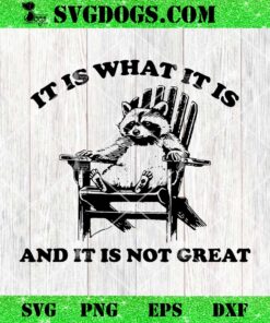 It Is What It Is And It Is Not Great SVG, Funny Raccoon SVG PNG EPS DXF