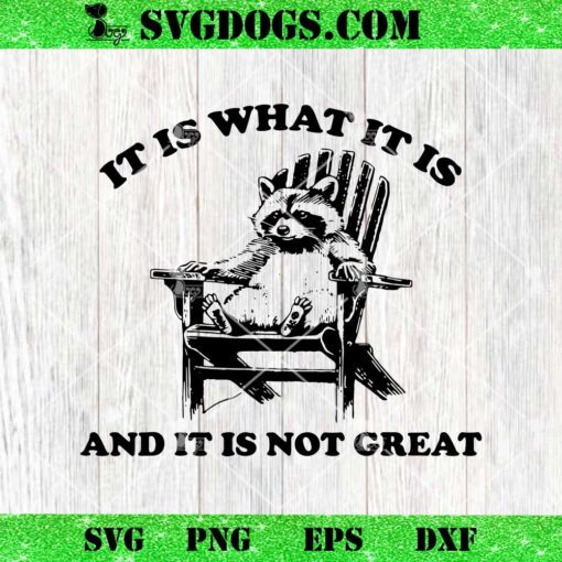 It Is What It Is And It Is Not Great SVG, Funny Raccoon SVG PNG EPS DXF