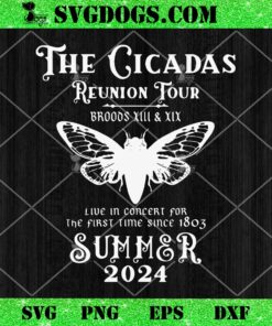 The Cicada Reunion US Tour 2024 Cicada Concert Fest Lover SVG, Cicada Summer Concert SVG PNG EPS DXF