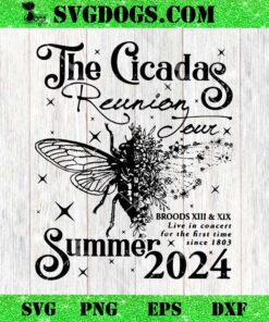 Cicada Lover Cicada Reunion US Tour 2024 SVG, Double Brood Concert 2024 SVG PNG EPS DXF
