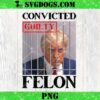 Vote Felon Trump 2024 45 and 47 SVG, Funny Vote For The Felon SVG PNG DXF EPS