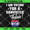 We The People Im Voting For The Convicted Felon 2024 Eagles PNG, Trump Felon PNG