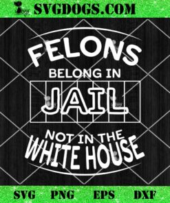 Political Pro Biden Felons Belong In Jail Not White House SVG
