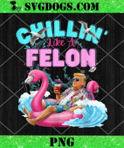 Chillin Like A Felon Summer Trump PNG, Pink Flamingo Float PNG