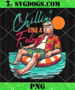 Trump Summer Chillin Like A Felon PNG, Summer Trump PNG