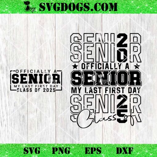 Senior 2025 SVG Bundle, Senior Class of 2025 SVG PNG DXF EPS