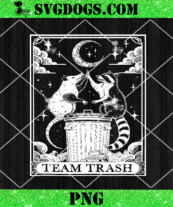 Team Trash Crescent Moon Opossum Raccoon PNG