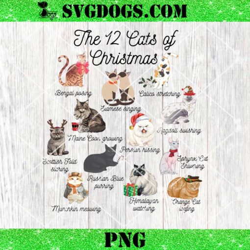 The 12 Cats of Christmas PNG, Cat Holiday PNG