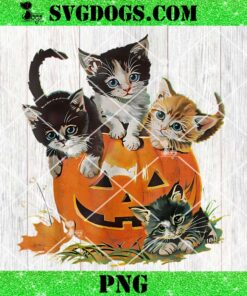 Vintage 90s Cat Pumpkin Halloween PNG