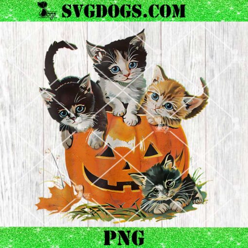 Vintage 90s Cat Pumpkin Halloween PNG