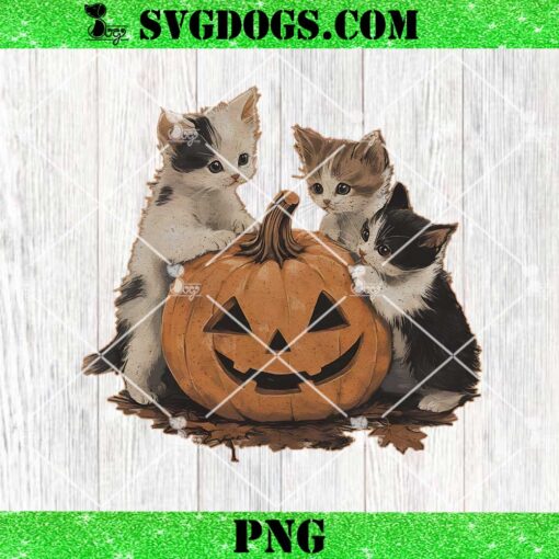 90s Cat Pumpkin Halloween PNG, Floral Spooky Season PNG