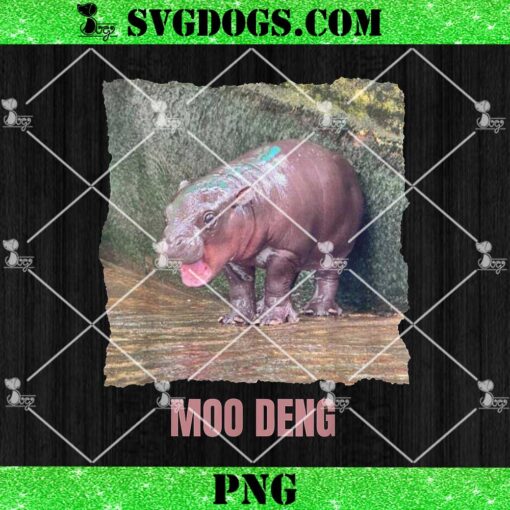 Baby Pygmy Hippo Moo Deng PNG, Moo Deng PNG