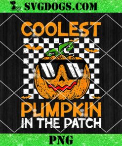 Coolest Pumpkin In The Patch PNG, Outfit Halloween Kids PNG