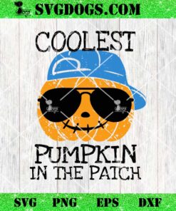 Coolest Pumpkin In The Patch SVG, Halloween SVG, Pumpkin SVG PNG EPS DXF