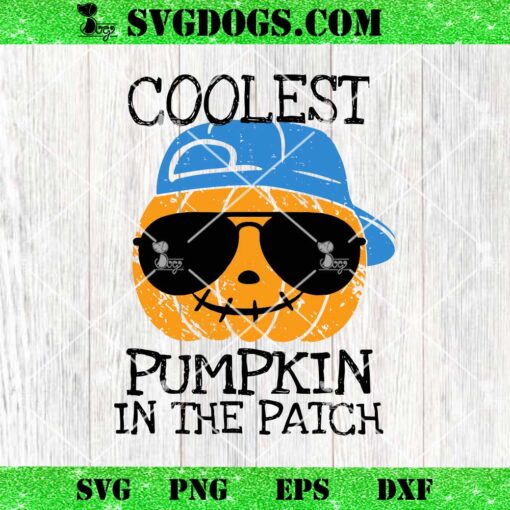 Coolest Pumpkin In The Patch SVG, Halloween SVG, Pumpkin SVG PNG EPS DXF