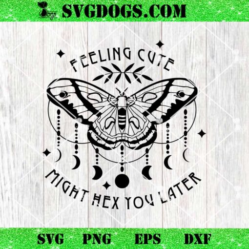 Feeling Cute Might Hex You Later SVG, Butterfly SVG, Witch SVG PNG EPS DXF