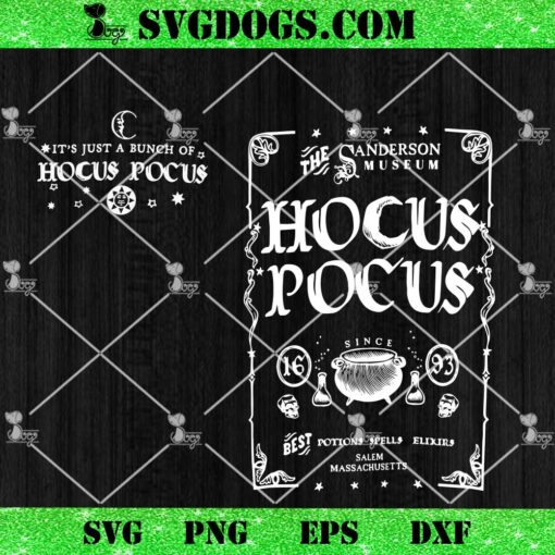 Hocus Pocus Classic Cozy Fleece Raglan SVG, It’s Just A Bunch Of Hocus Pocus SVG