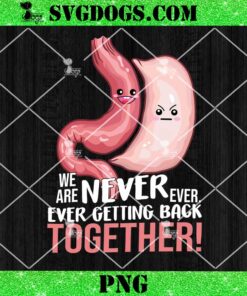 We Are Never Ever Getting Back Together PNG