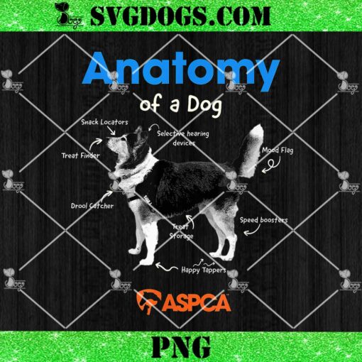 Anatomy Of A Dog PNG, ASPCA PNG