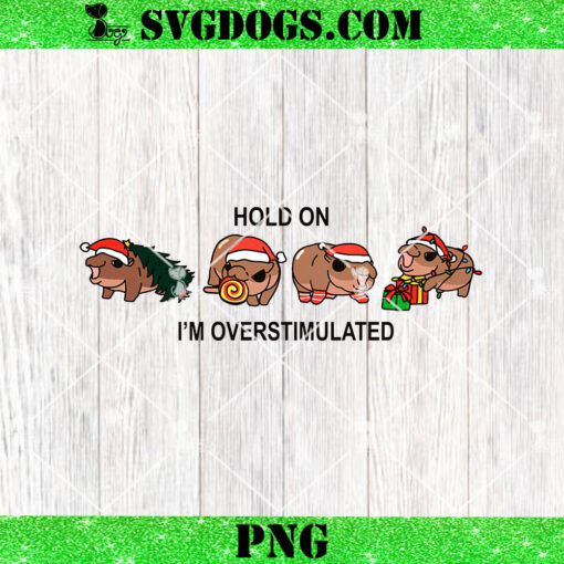 Moo Deng Christmas Hold On Im Overstimulated PNG, Baby Hippo Santa PNG