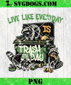 Raccoon Live Like Everyday Trash Day PNG