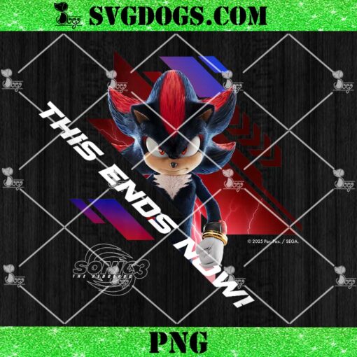 Sonic the Hedgehog 3 PNG, Shadow This Ends Now PNG