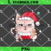 Nurse Christmas Xmas Santa RN CNA ICU Scurb PNG, Nurse Grinch Hand PNG