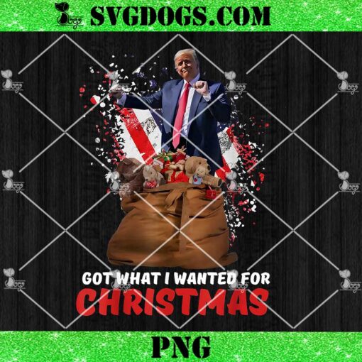 Got What I Wanted For Christmas PNG, Trump Won 2024 President PNG