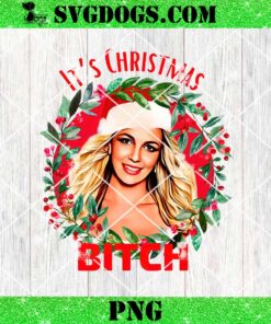 It’s Christmas Bitch PNG, Bitch Singer PNG