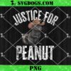 Justice For Peanut Pnut PNG, PNut Squirrel Lover PNG