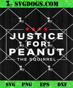 Justice For Peanut SVG, The Squirrel SVG PNG