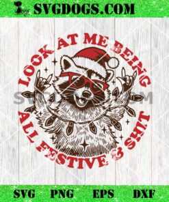 Look At Me Being All Festive SVG, Merry Christmas Raccoon SVG PNG