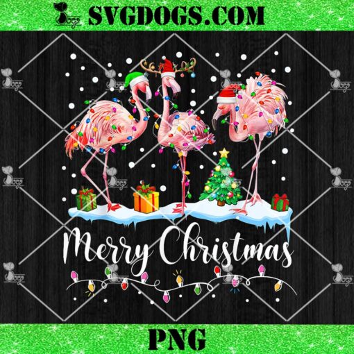 Merry Christmas Flamingo Santa Hat PNG, Flamingo Xmas PNG