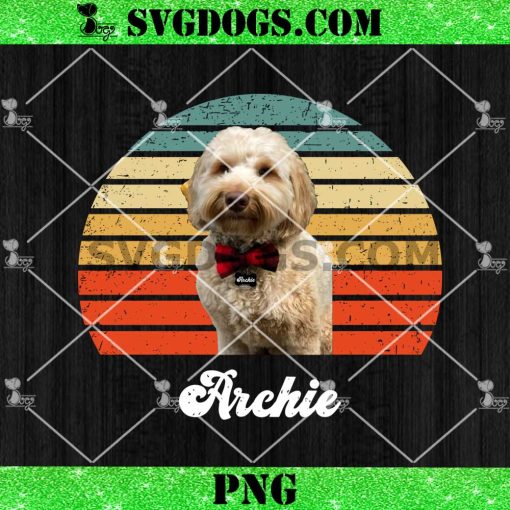 Poodle Archie PNG, Dog PNG