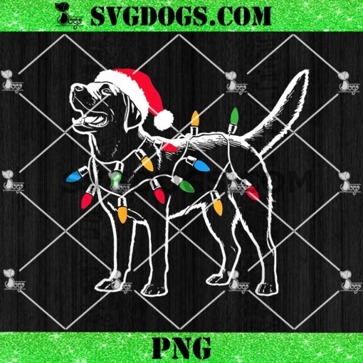 Santa Labrador Retriever Christmas Lights Dog Lover PNG, Christmas Dog PNG