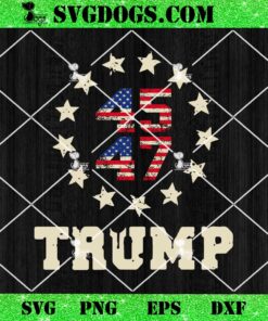 Take America Back Trump Flag 45 47 SVG, Trump Won SVG