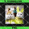 Fur Babies Ready For Easter Celebration Kitty Cats PNG