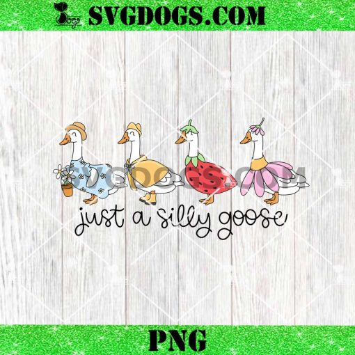 Just A Silly Goose PNG