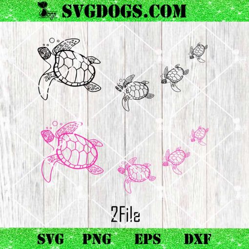 Turtle SVG PNG