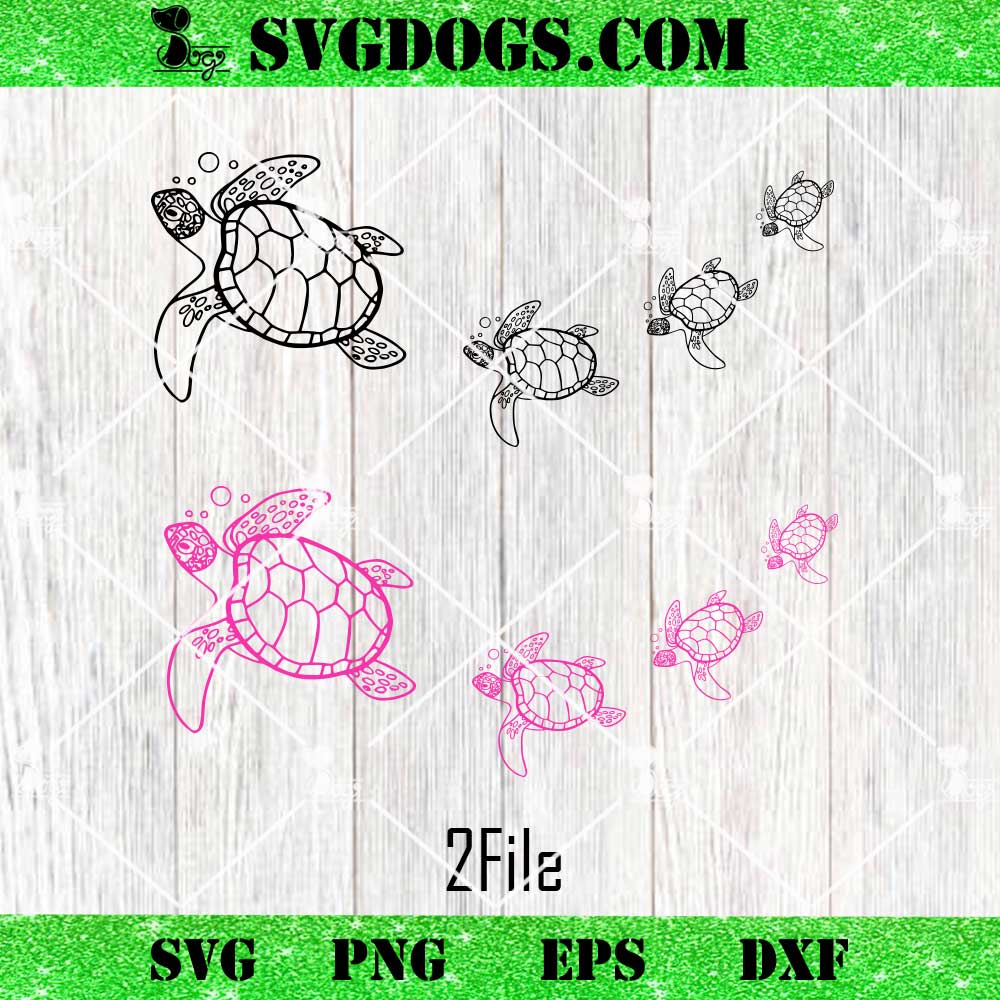 Turtle SVG PNG Turtle SVG PNG