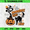Quest Fantasy Squad Broccoli Kitten PNG, Funny Cat PNG