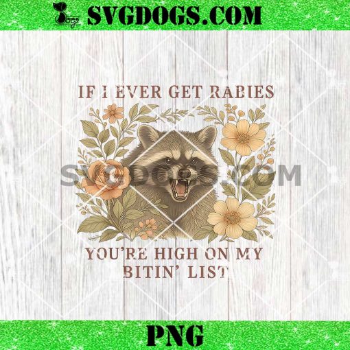 If I Ever Get Rabies You’re High On My Biting List Raccoon PNG
