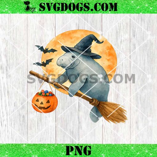 Manatee Witch Hat Pumpkin Halloween PNG