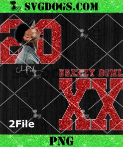Chris Brown Breezy Tour PNG