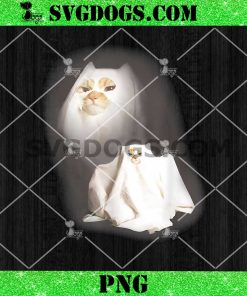Wizard Cat Ghost Weird Kitten PNG, Cat Meme Halloween PNG