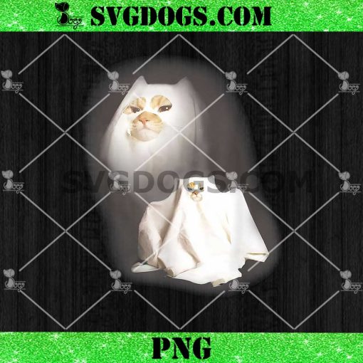 Wizard Cat Ghost Weird Kitten PNG, Cat Meme Halloween PNG