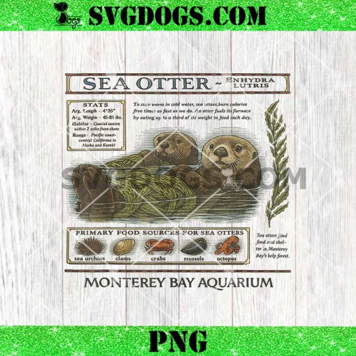 Sea Otter Monterey California 90’s Aquarium Lover PNG