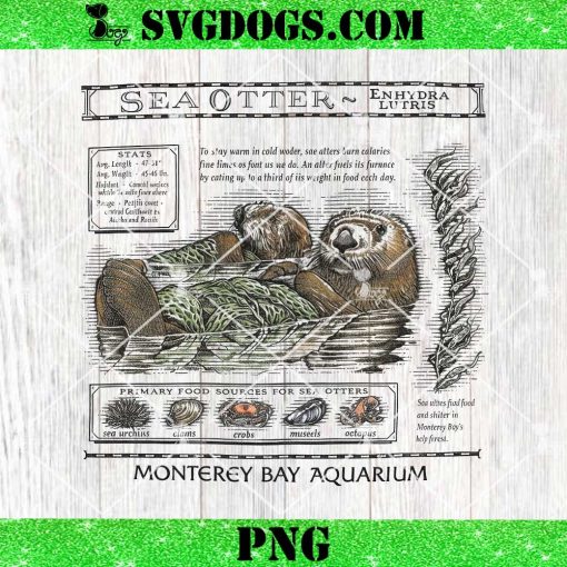 Taylor Swift Sea Otter Monterey Bay Aquarium PNG